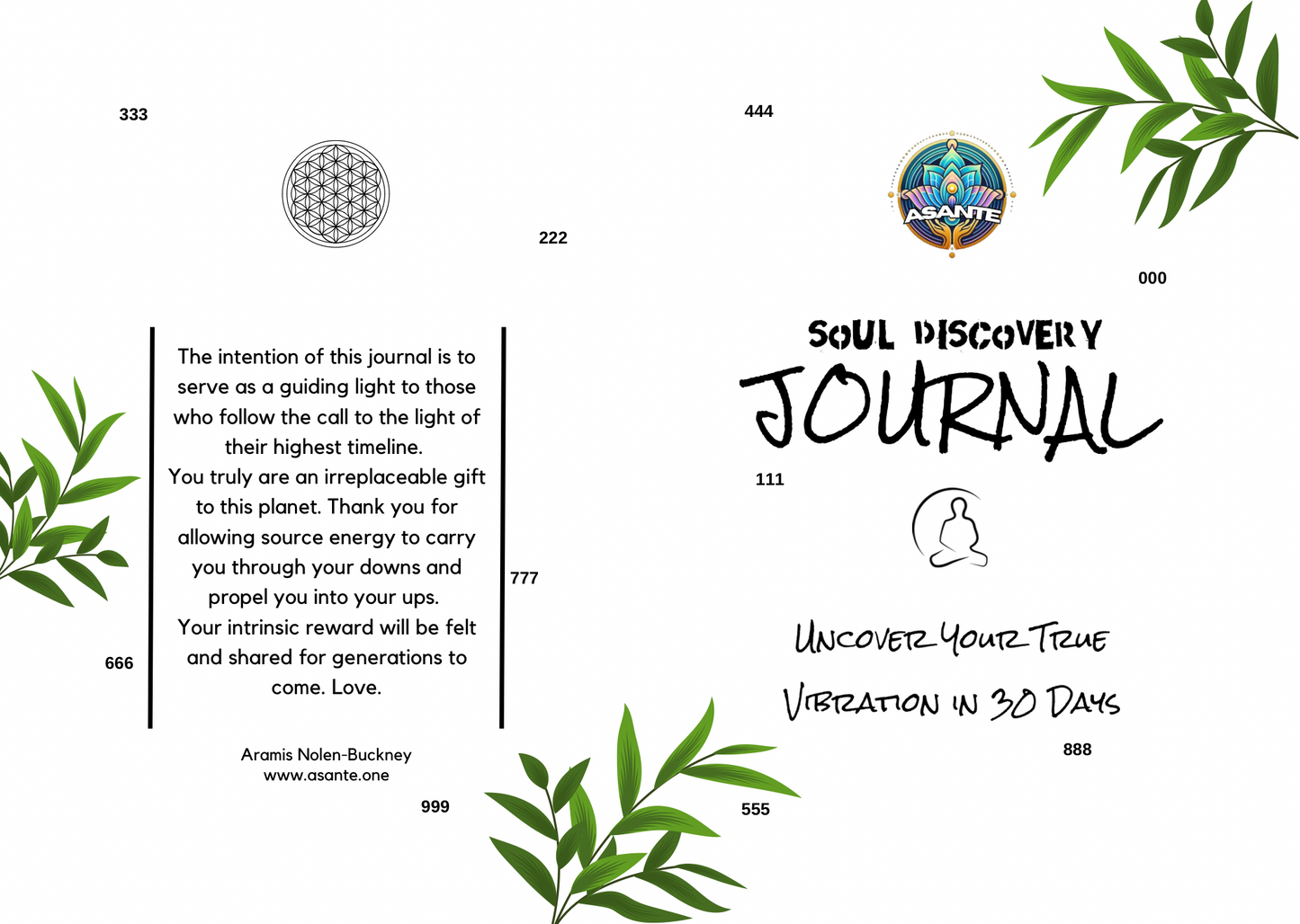 Soul Discovery Journal (Coming Soon)
